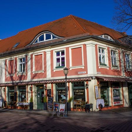 Cafe Alice & Pension Gmbh Poczdam Zewnętrze zdjęcie