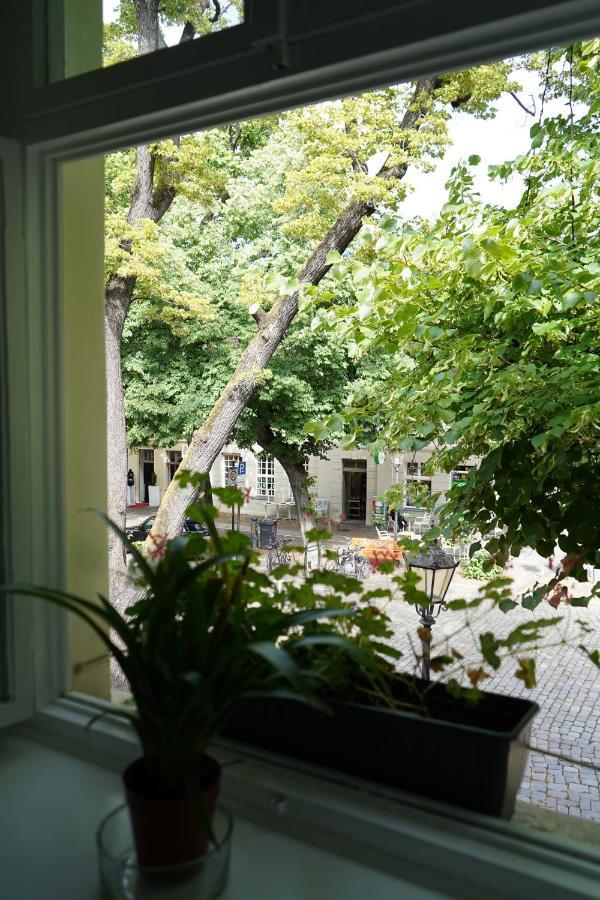 Cafe Alice & Pension Gmbh Poczdam Zewnętrze zdjęcie