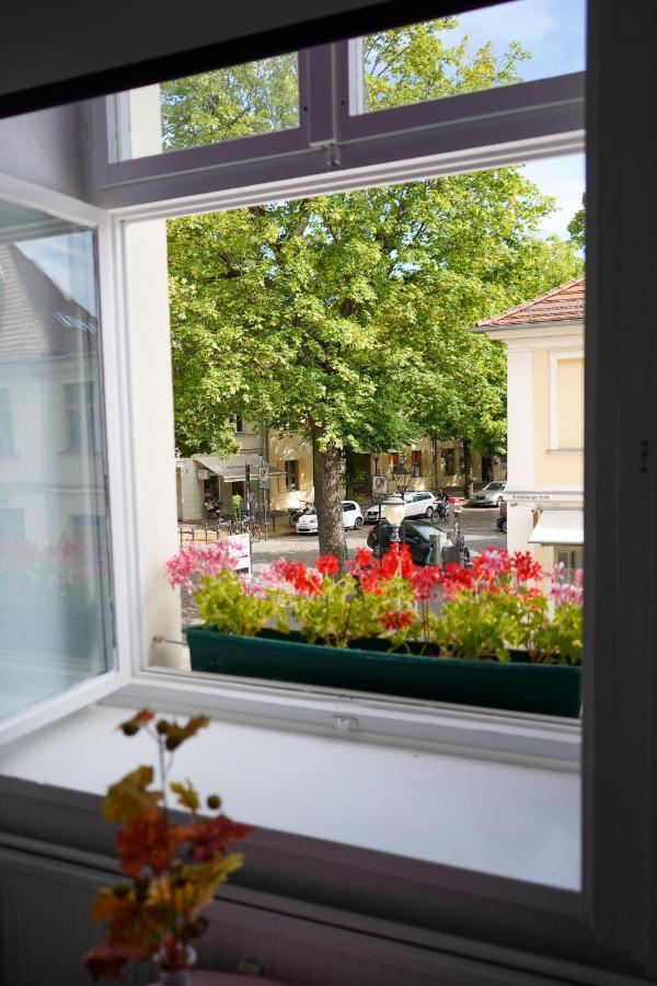 Cafe Alice & Pension Gmbh Poczdam Zewnętrze zdjęcie