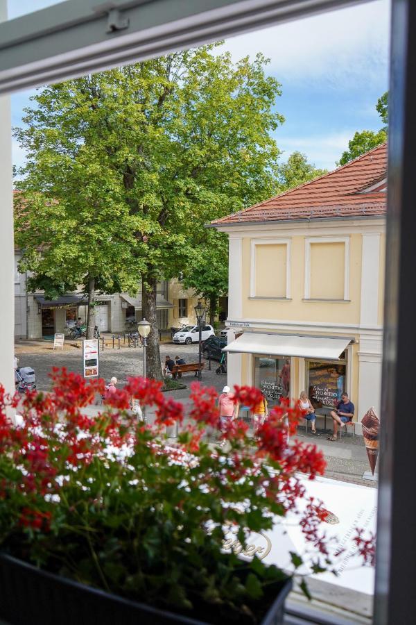 Cafe Alice & Pension Gmbh Poczdam Zewnętrze zdjęcie