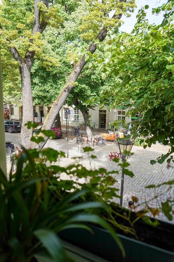 Cafe Alice & Pension Gmbh Poczdam Zewnętrze zdjęcie
